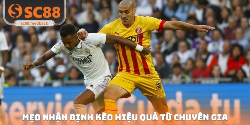 Mẹo nhận định kèo hiệu quả từ chuyên gia
